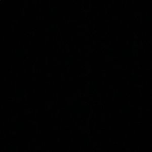 Meet your Posher, Omar